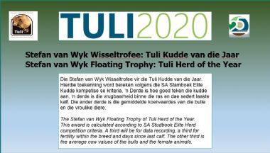 Tuli Prysuitdeling 2020